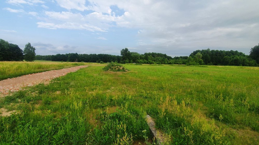 Nasza działka